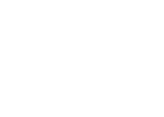 Consultores